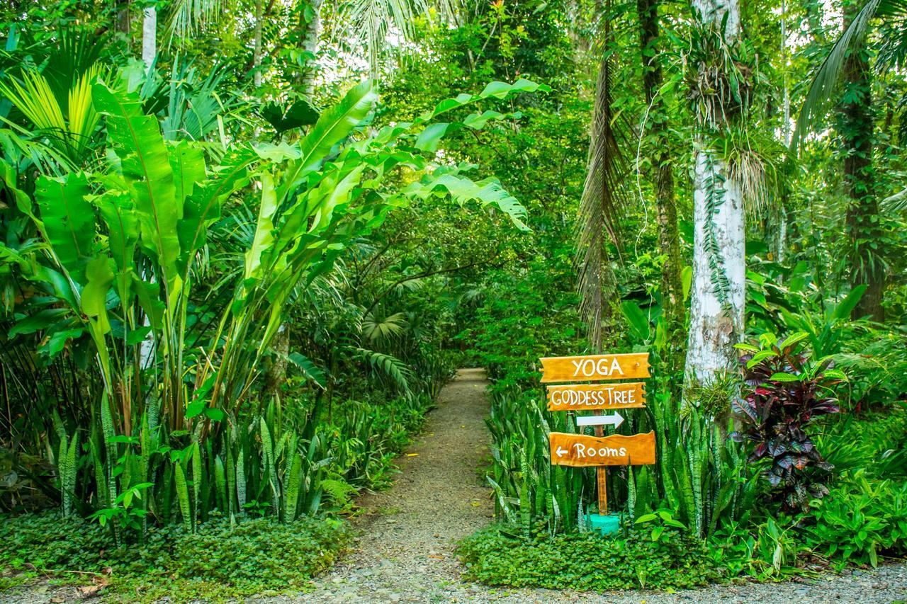 The Goddess Garden Eco-resort Resort 3*
