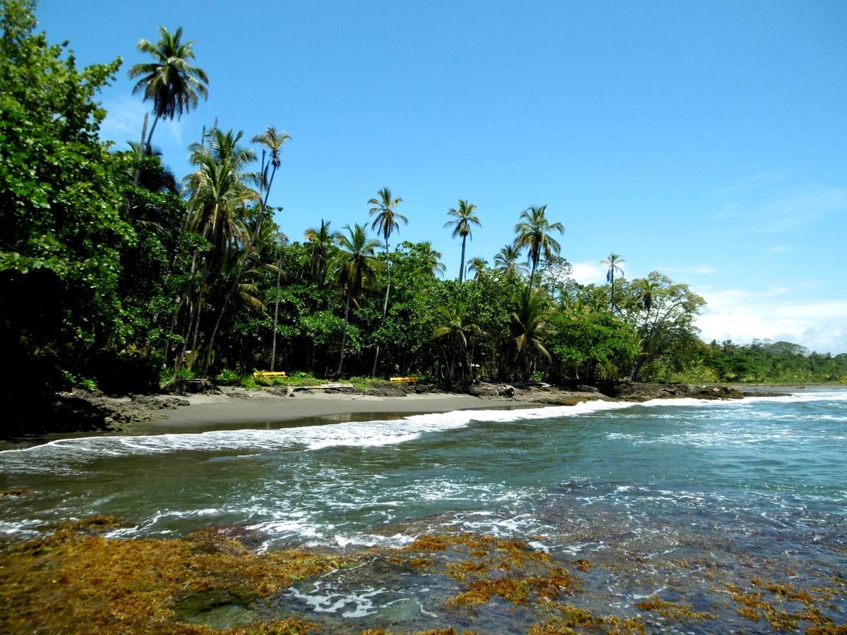 Playa Grande & Tree House Lodge Cahuita