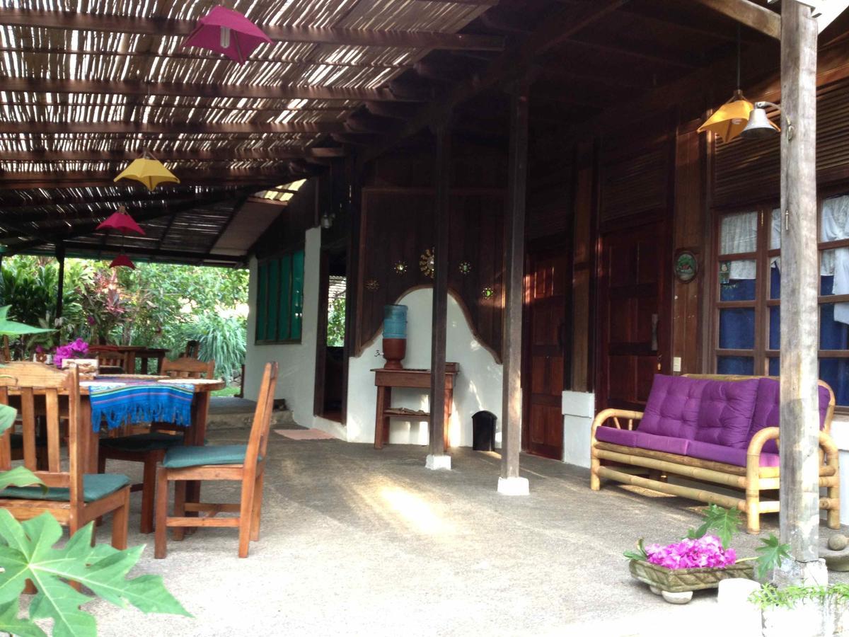Ocean Forest Ecolodge Retreat Drake Bay