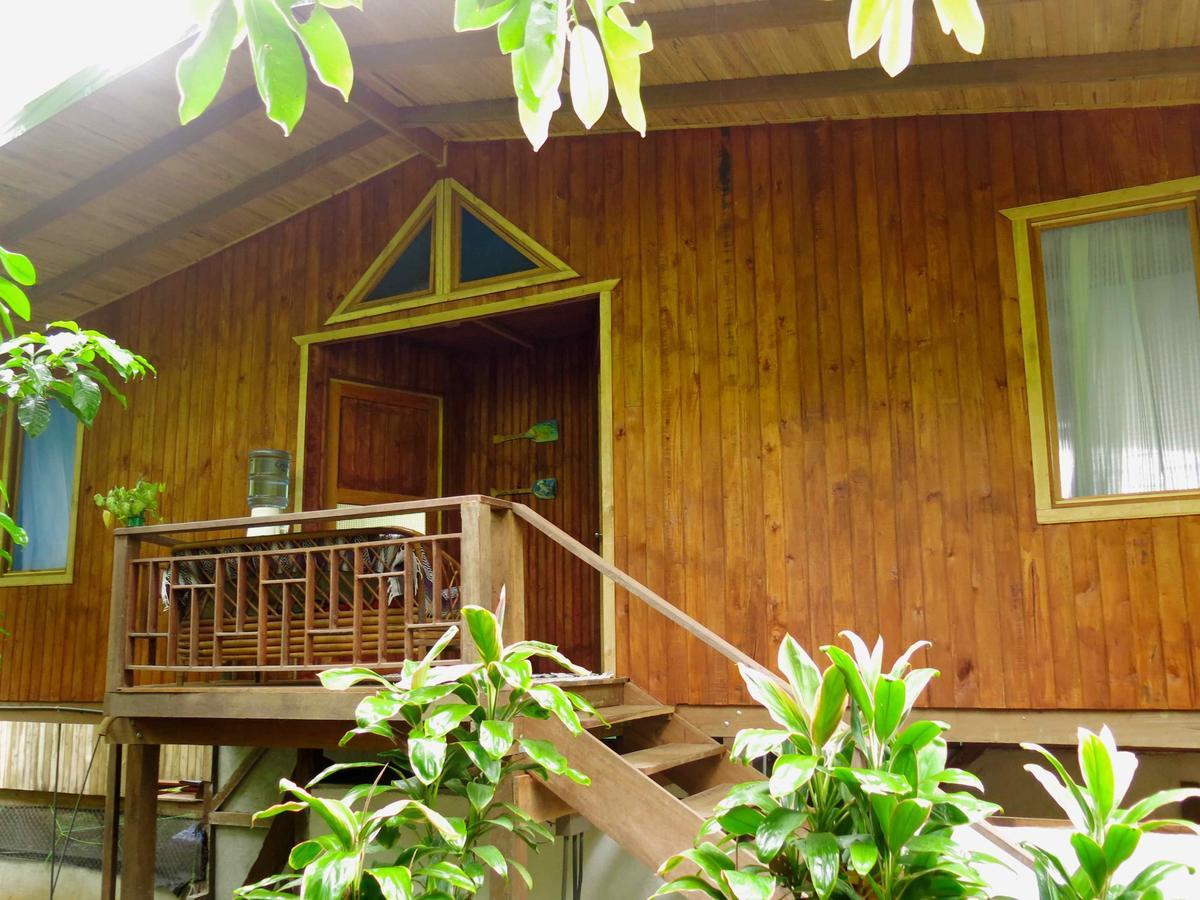 Ocean Forest Ecolodge Retreat