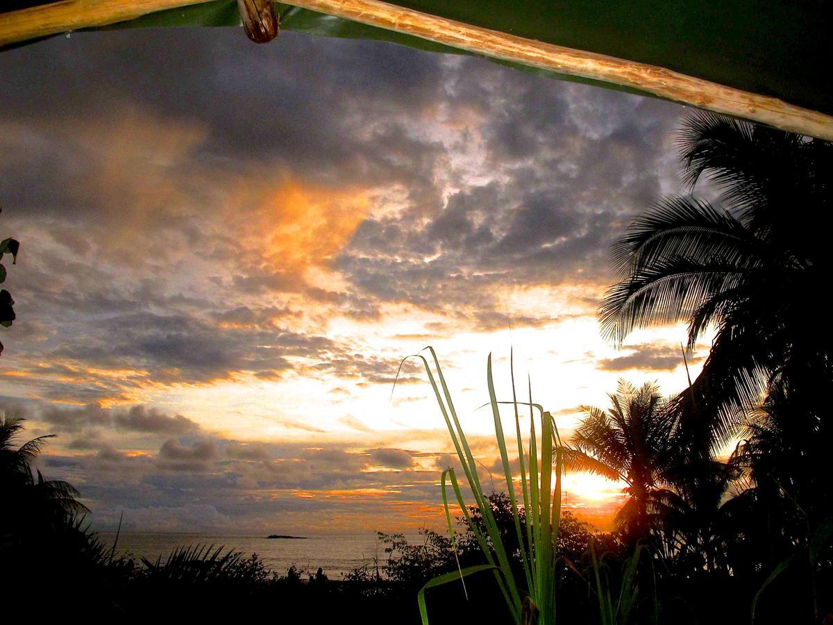 Ocean Forest Ecolodge Retreat Hotel