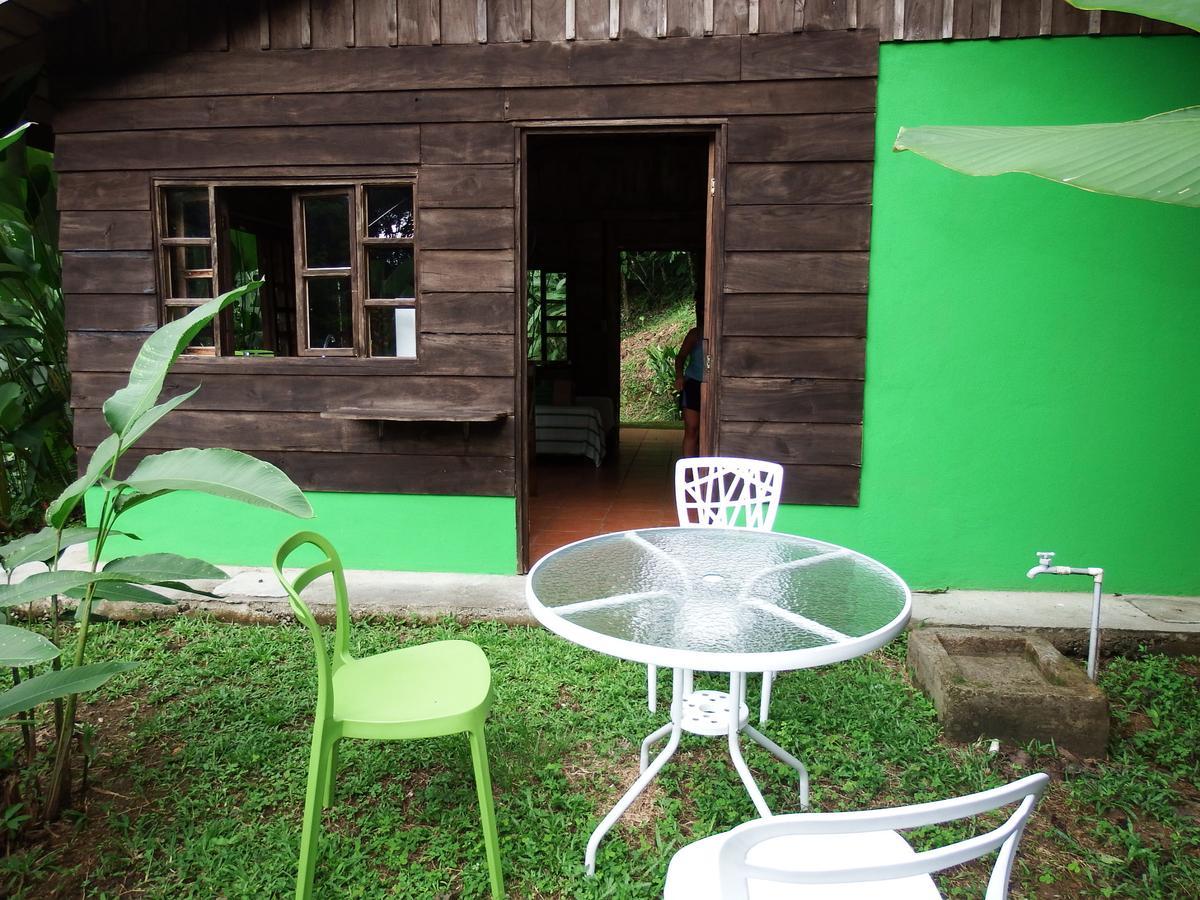 Selva Color - Forest & *