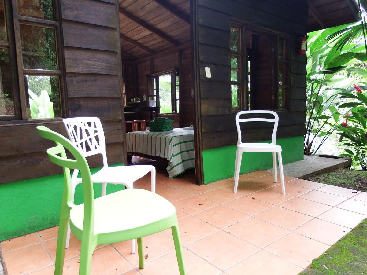 Selva Color - Forest & Quebrada Ganado