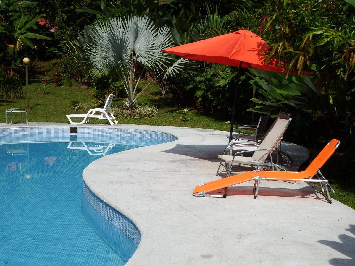 Lodge Selva Color - Forest &
