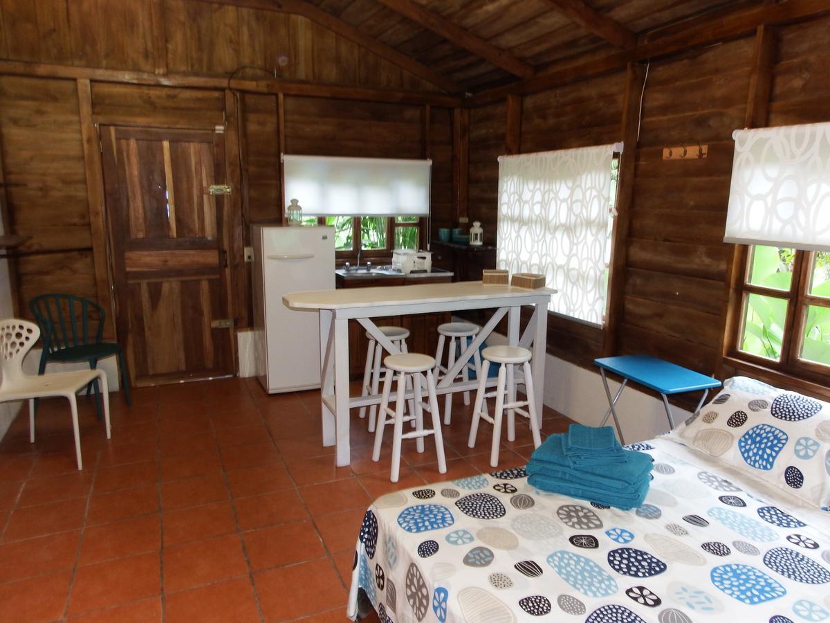 Selva Color - Forest & Lodge