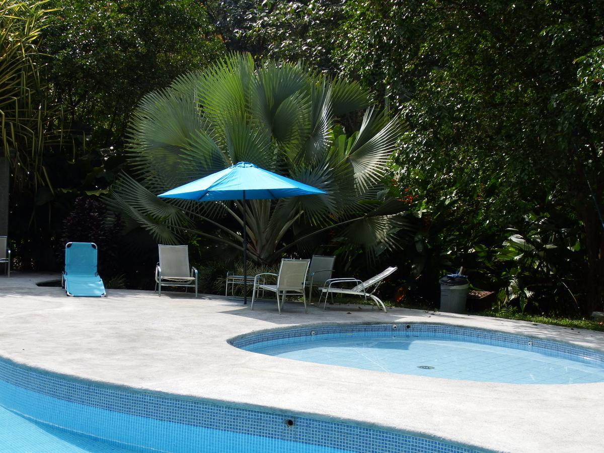 Lodge Selva Color - Forest &