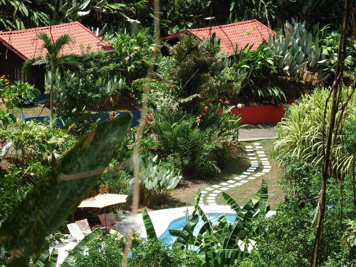 Selva Color - Forest & *
