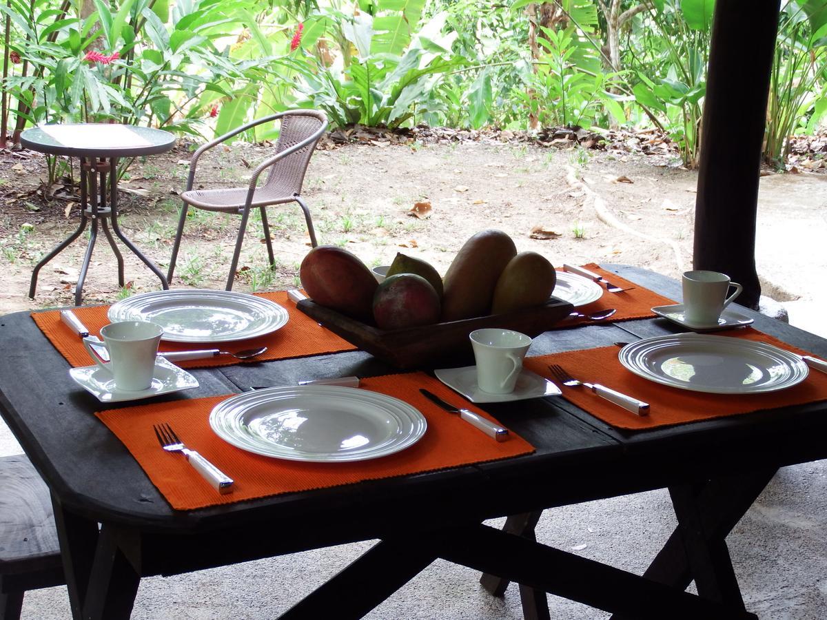 Selva Color - Forest & Lodge Quebrada Ganado