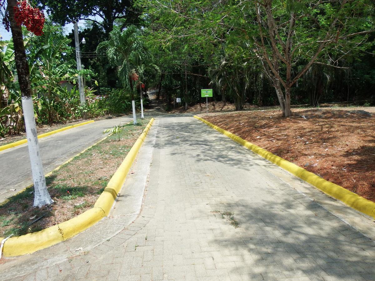 Selva Color - Forest & Lodge Quebrada Ganado