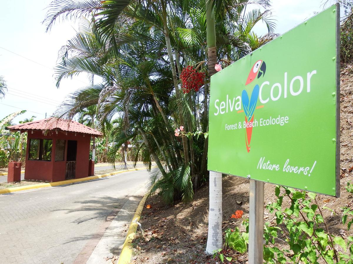 Selva Color - Forest & Lodge