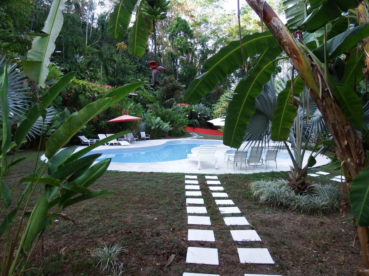 Lodge Selva Color - Forest & Quebrada Ganado