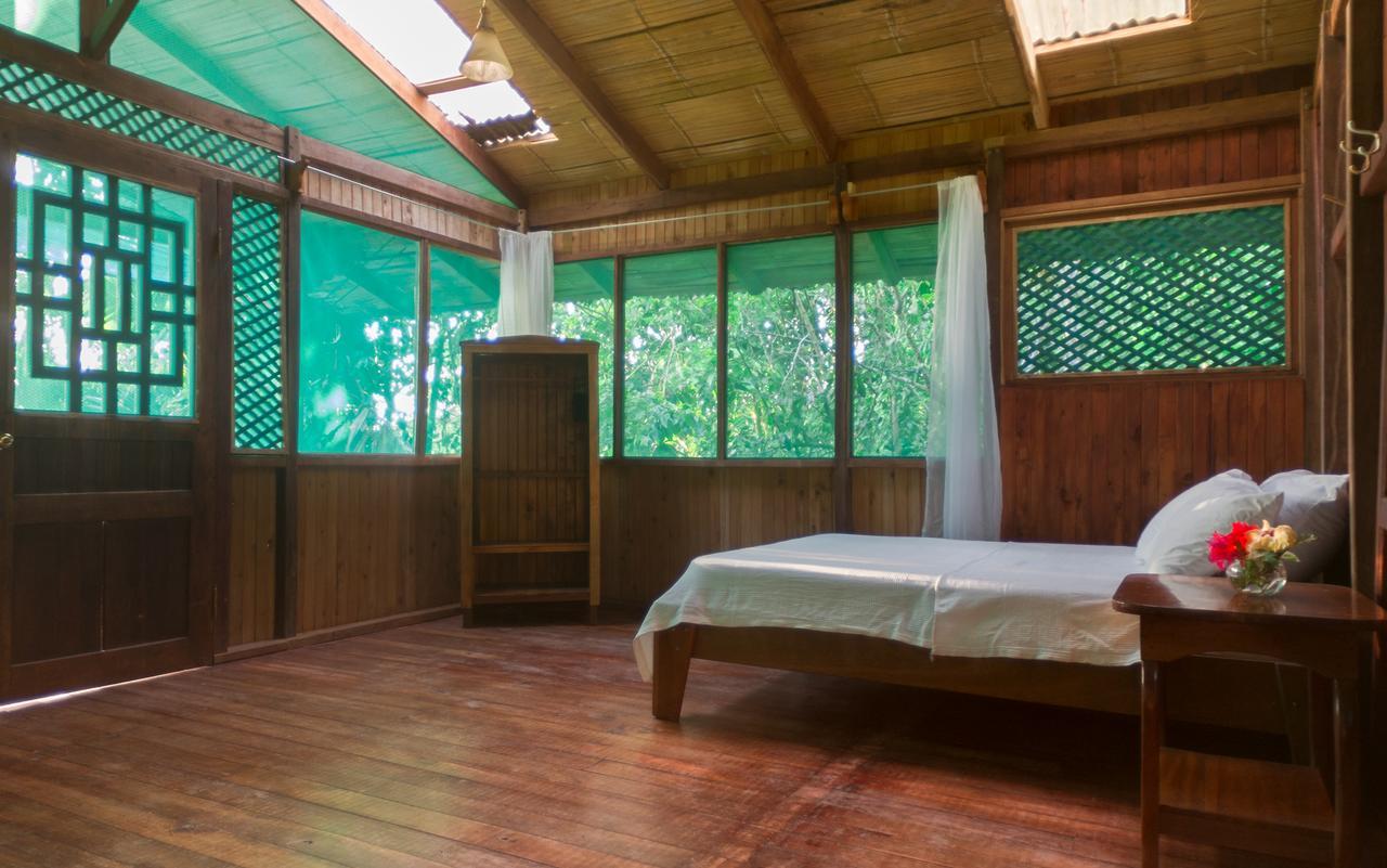 Ocean Forest Ecolodge Retreat Hotel