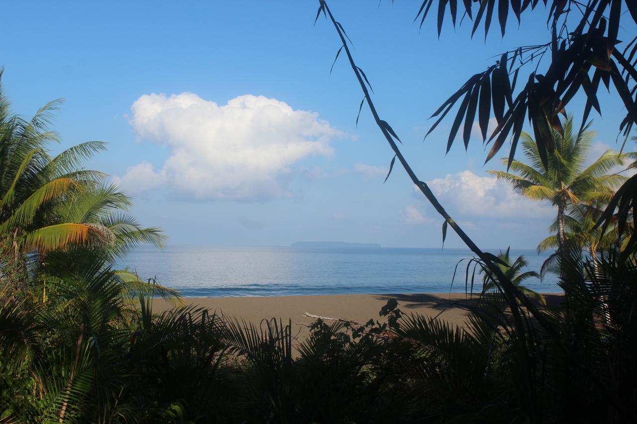 Ocean Forest Ecolodge Retreat Hotel *