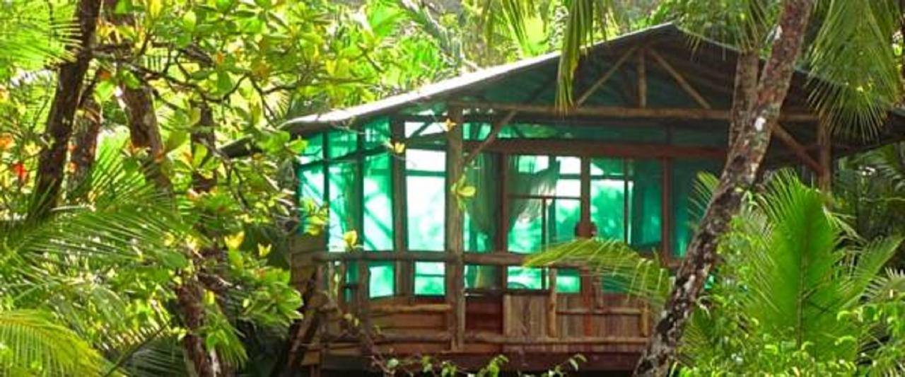 Ocean Forest Ecolodge Retreat Drake Bay