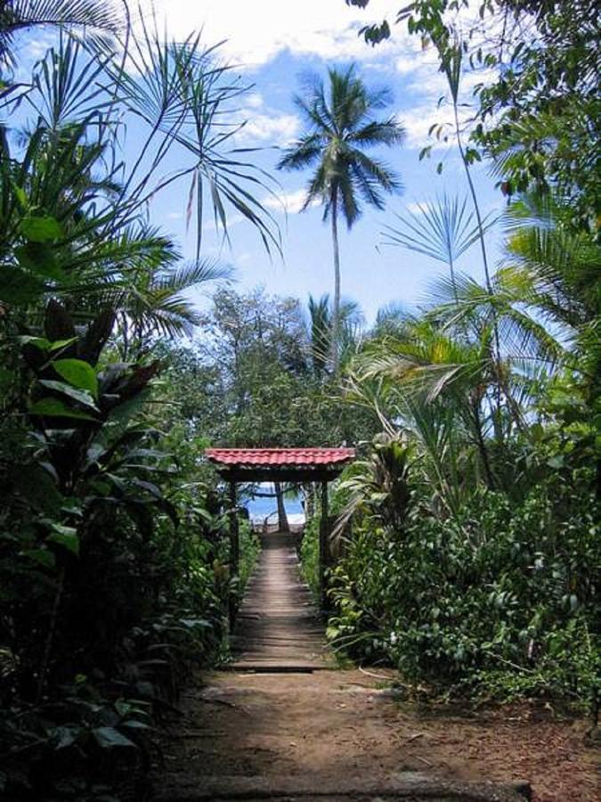 Ocean Forest Ecolodge Retreat *