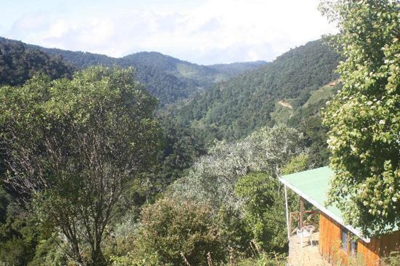 Quetzal Valley *