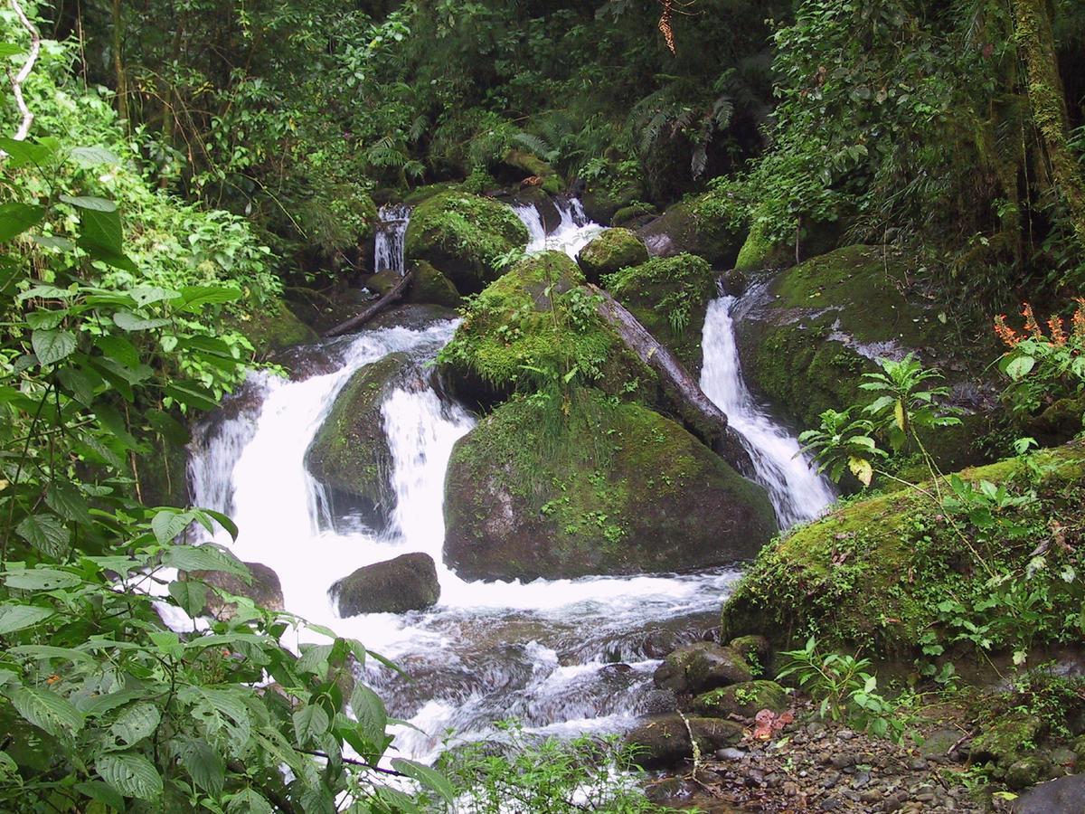 Lodge Quetzal Valley