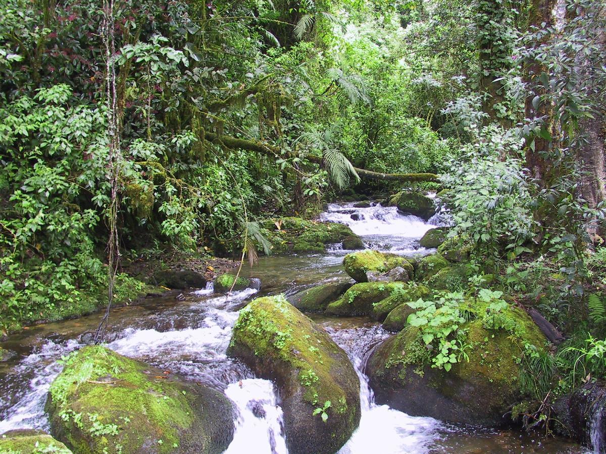 Lodge Quetzal Valley