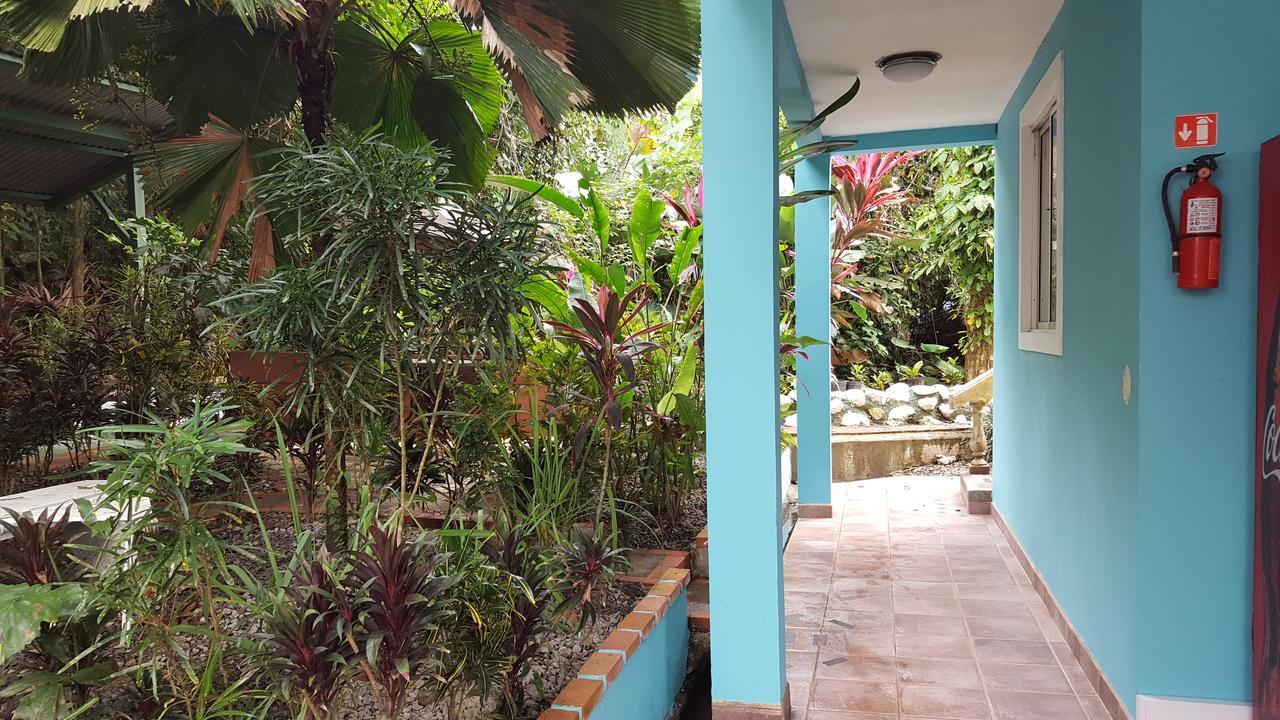 La Jungle Hotel Manuel Antonio