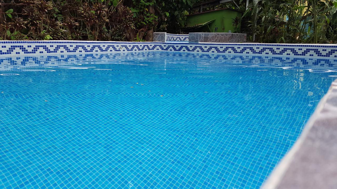 La Jungle