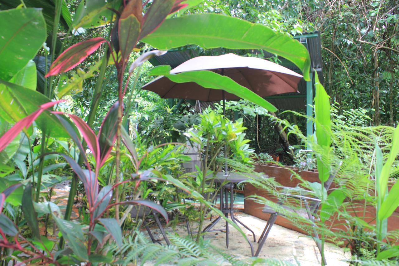 Hotel La Jungle Manuel Antonio