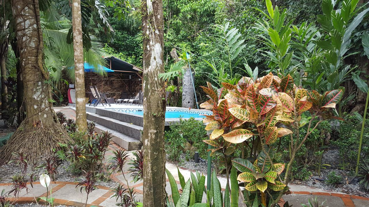 Hotel La Jungle 2*