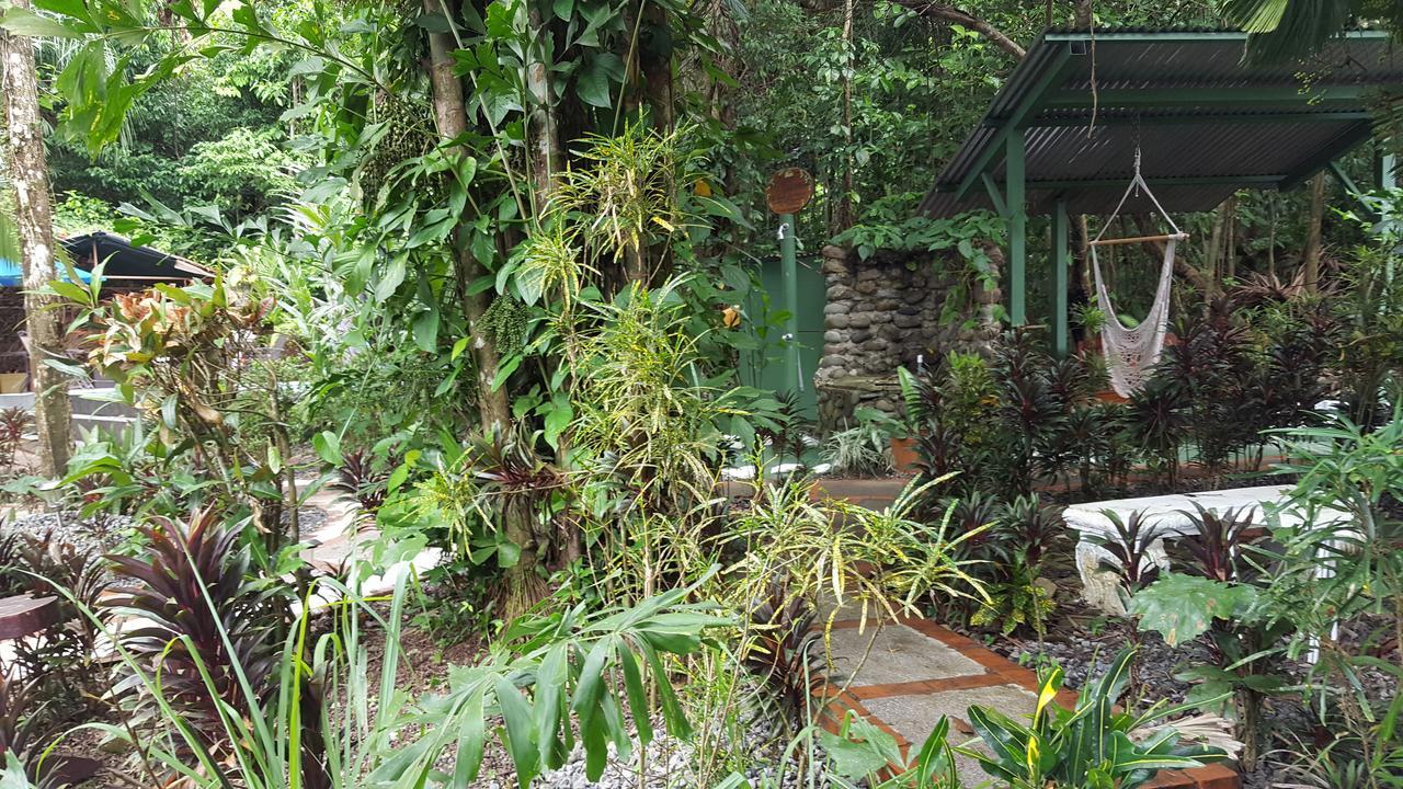 La Jungle Manuel Antonio