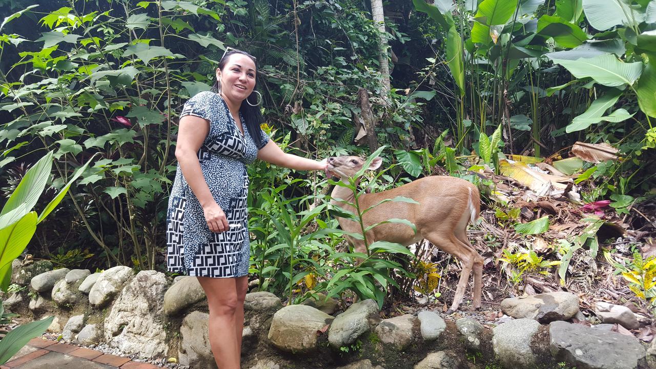 La Jungle 2* Manuel Antonio