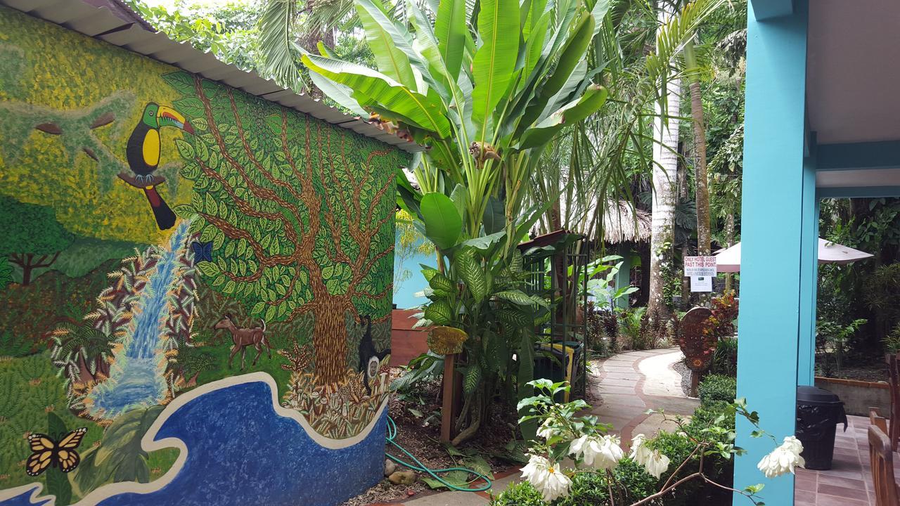 La Jungle 2*