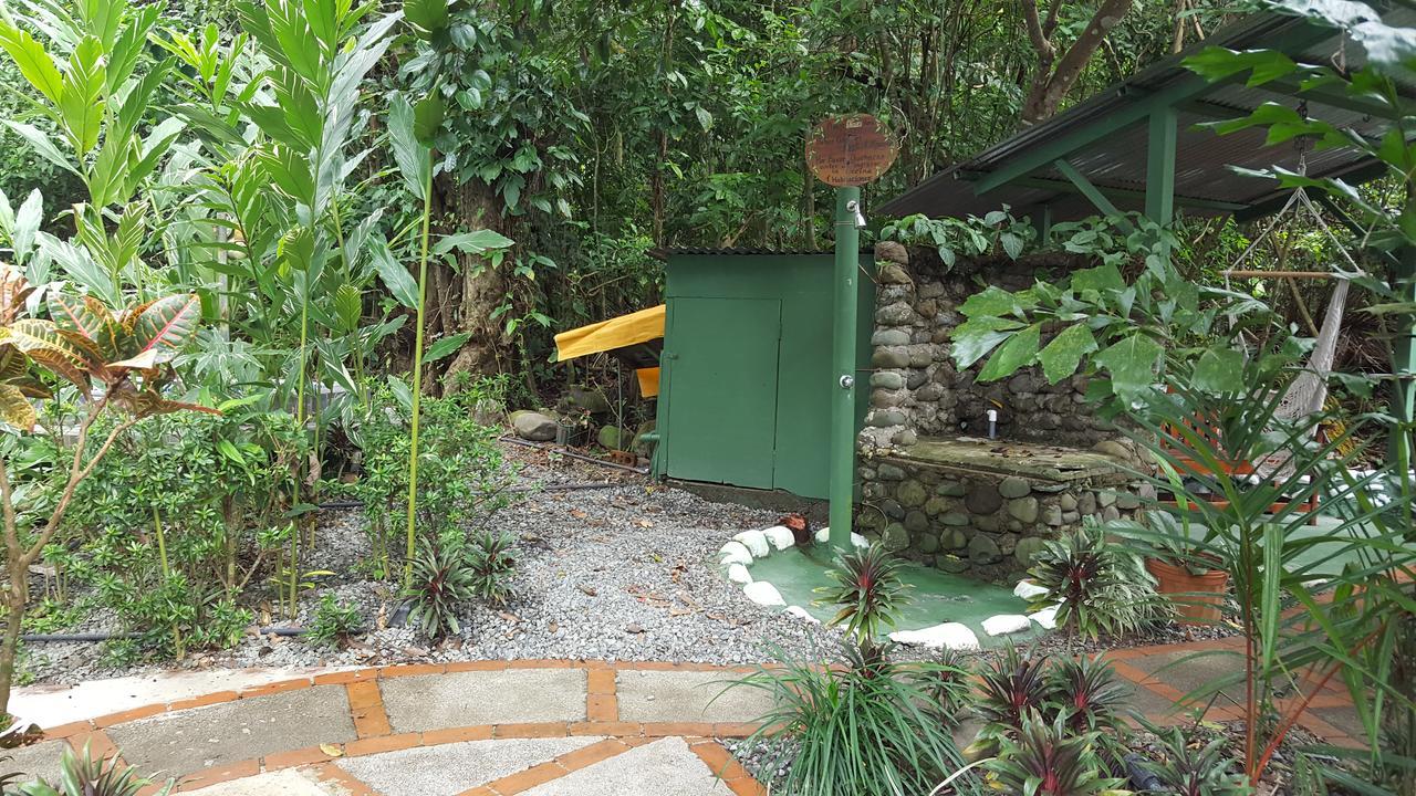La Jungle