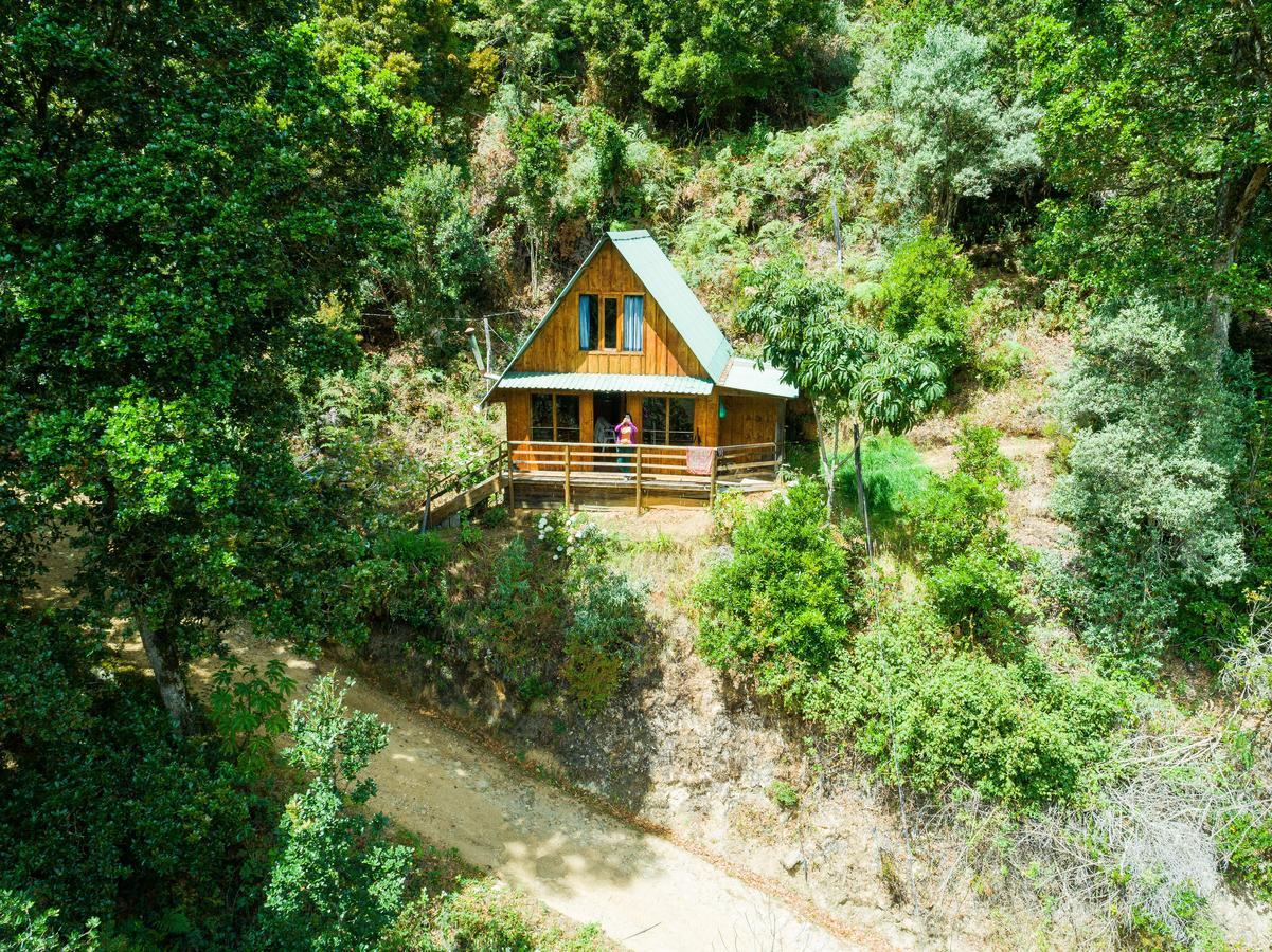 Lodge Quetzal Valley San Gerardo de Dota