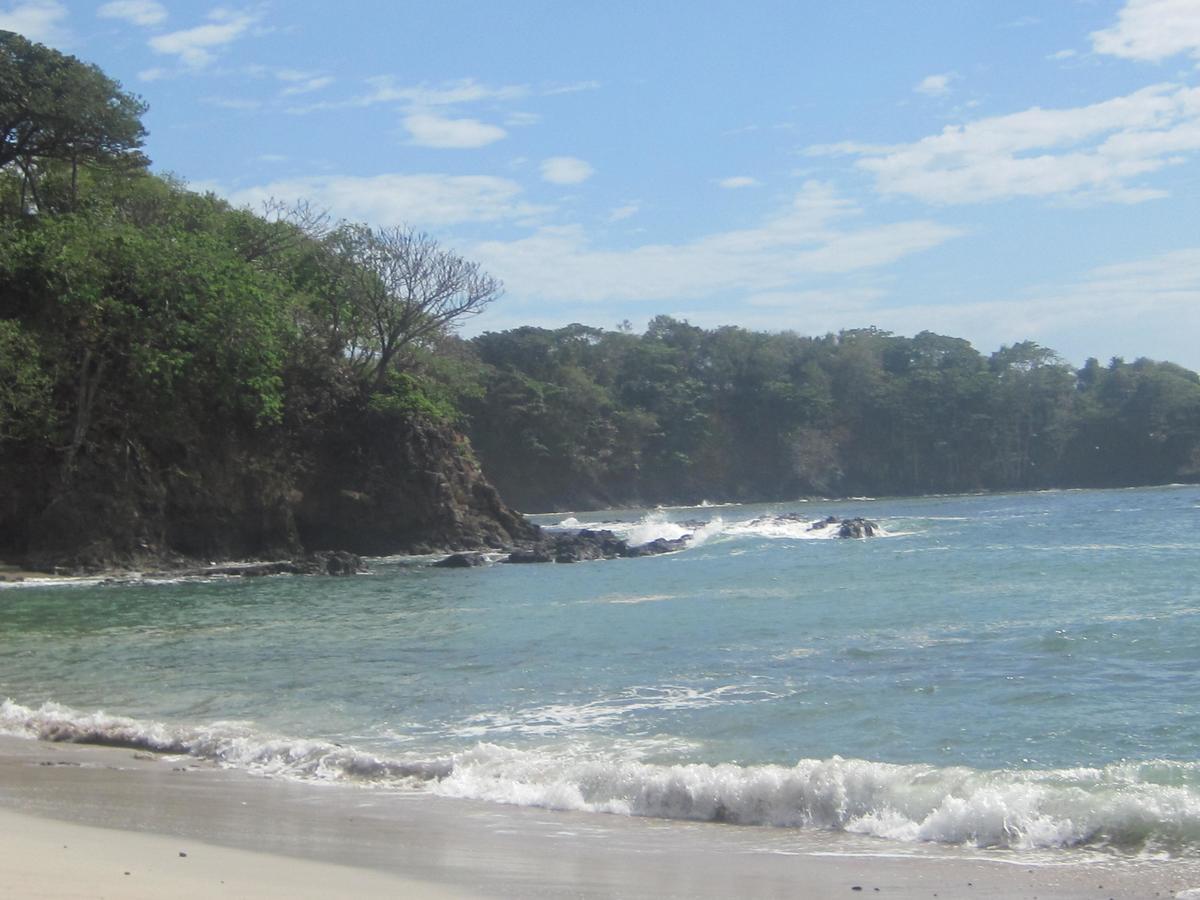 Plumita Pacifica Playa Junquillal