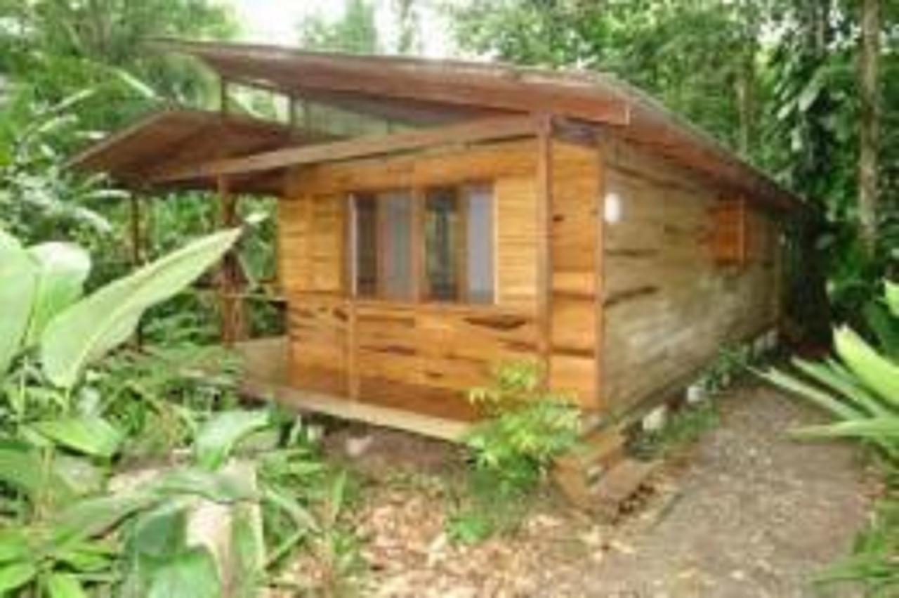 El Tucan Jungle Bed & Breakfast
