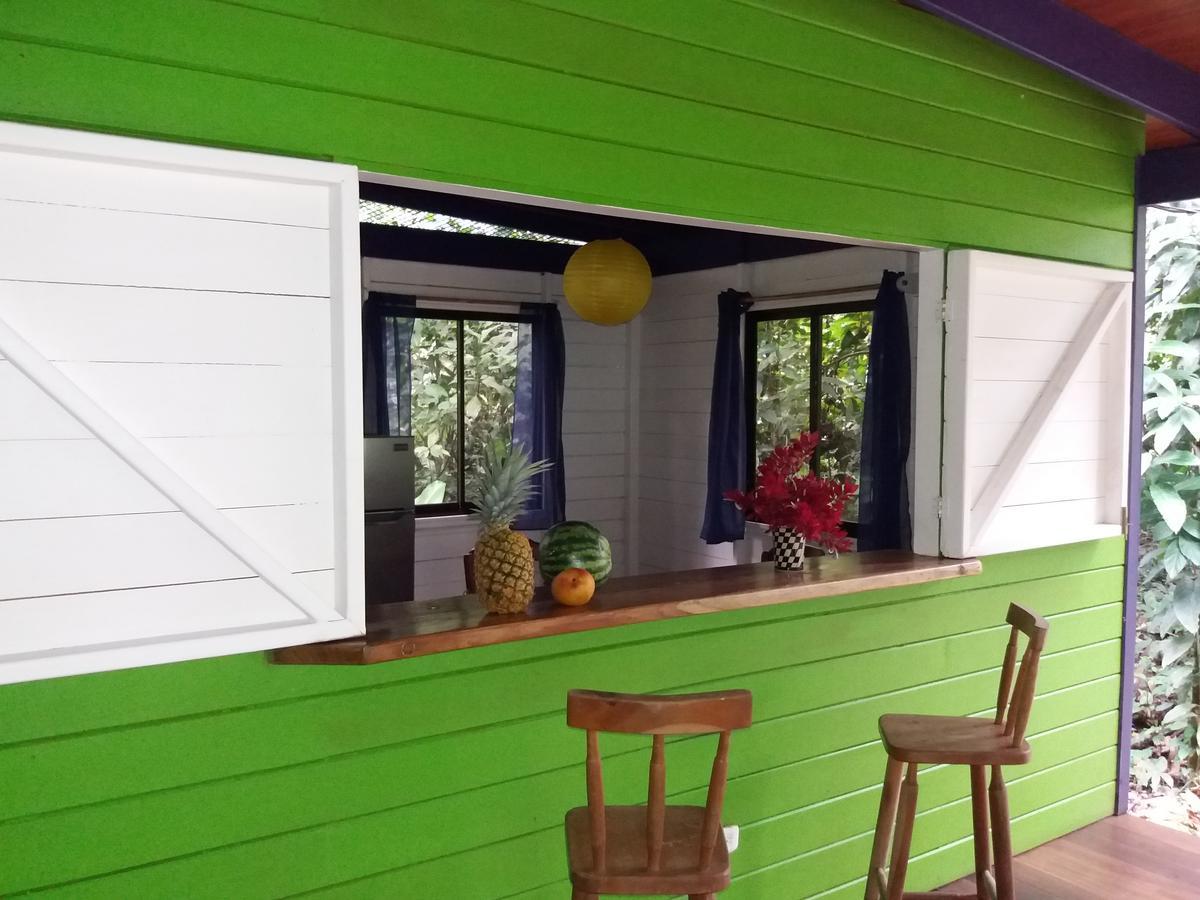 Bed & Breakfast El Tucan Jungle *