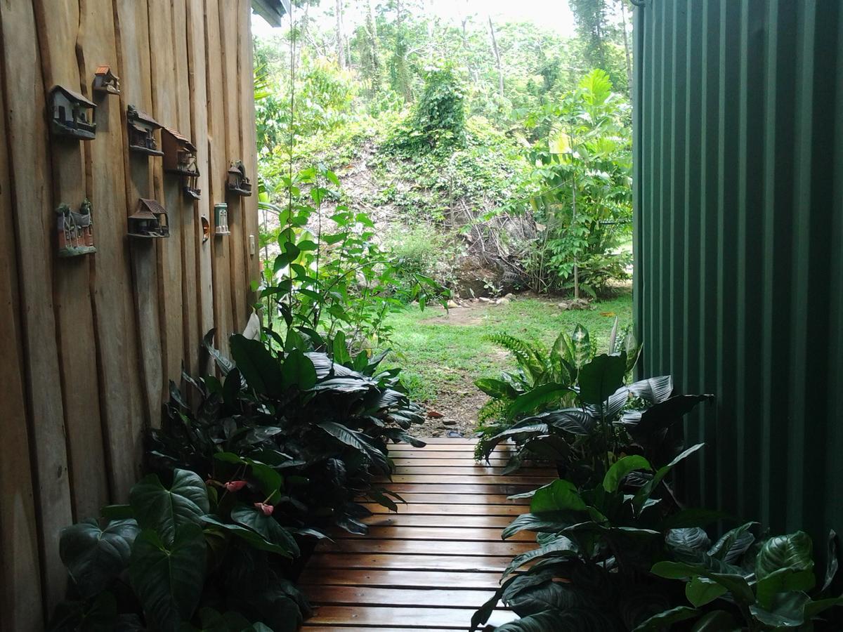 Guest house Osa De Rio Uvita