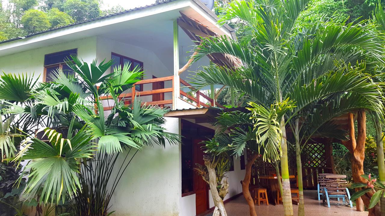 3 Bamboo Eco Cahuita