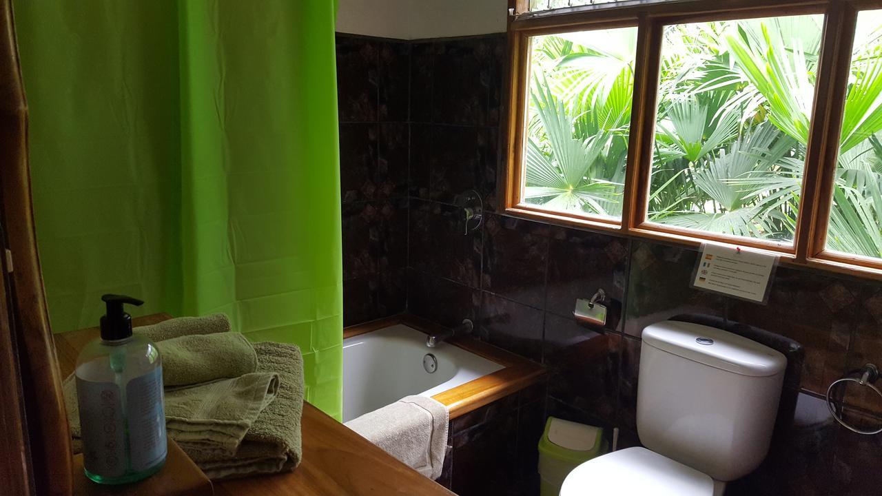 3 Bamboo Eco