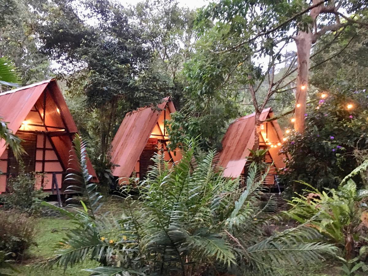 Guest house Mineros Dos Brazos