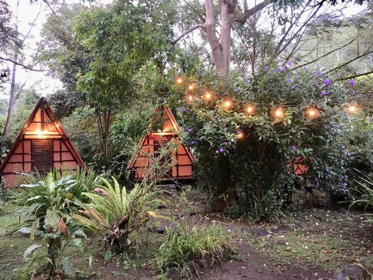 Mineros Guest house *