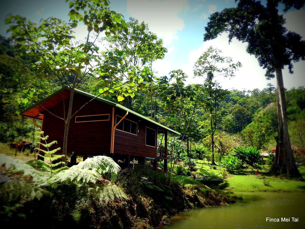 Tai Cacao Bed & Breakfast 3*