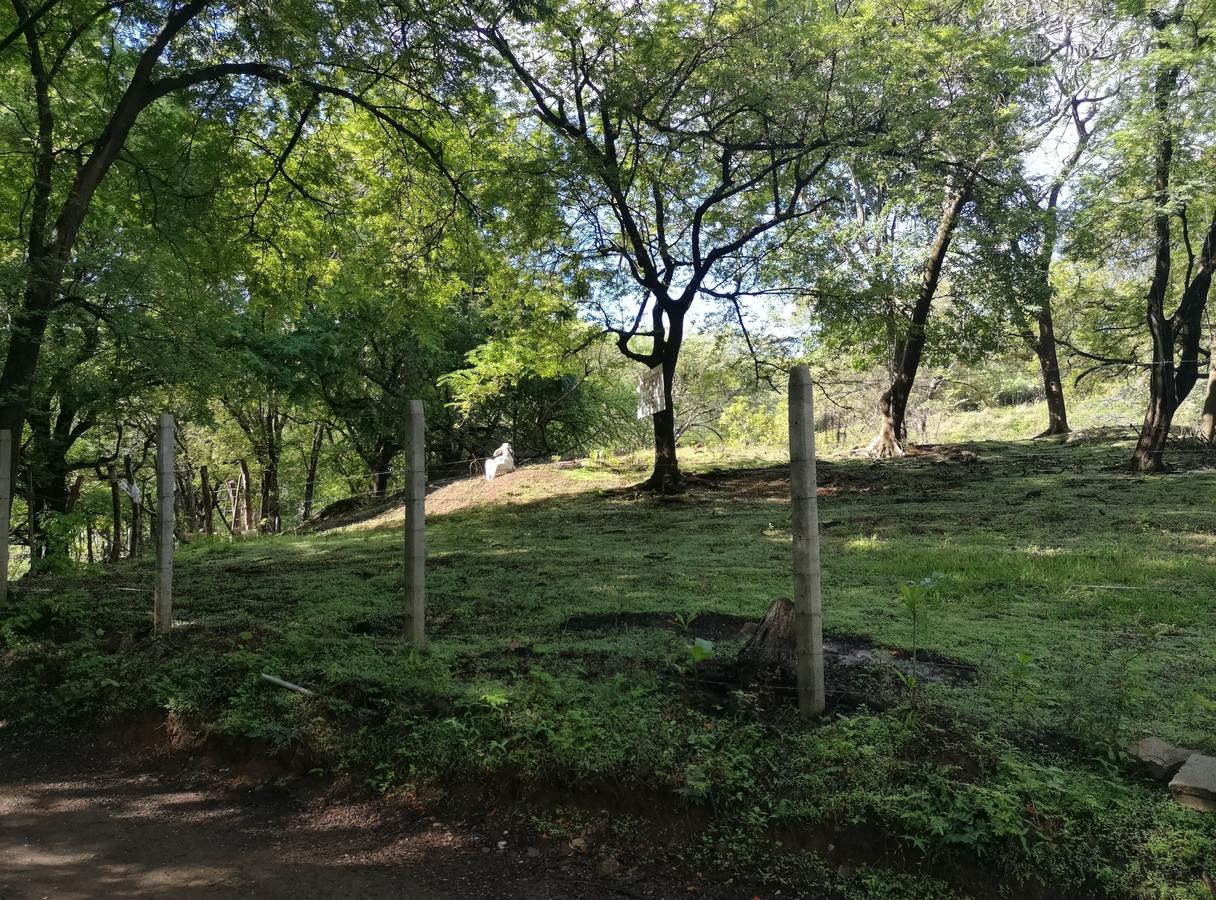 Casandreas Apartment GUANACASTE