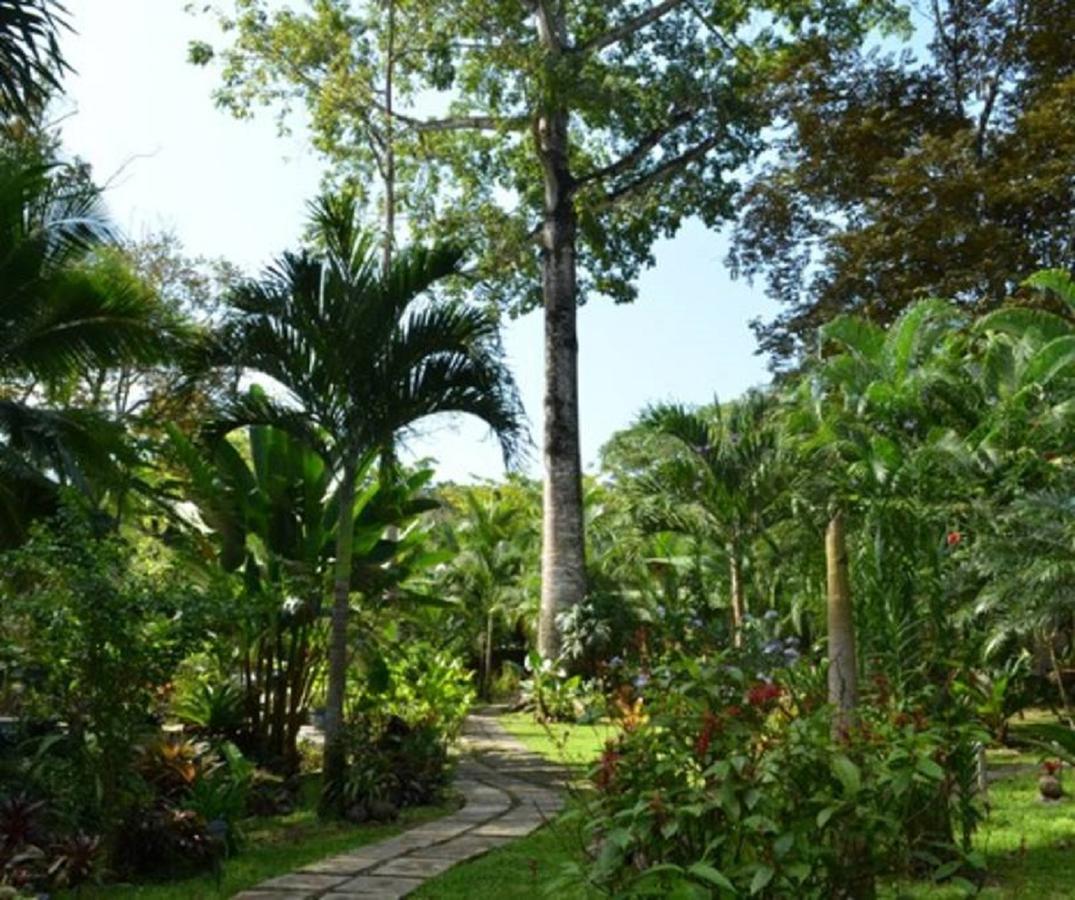 Hotel El Nido Jungle Puerto Viejo de Talamanca
