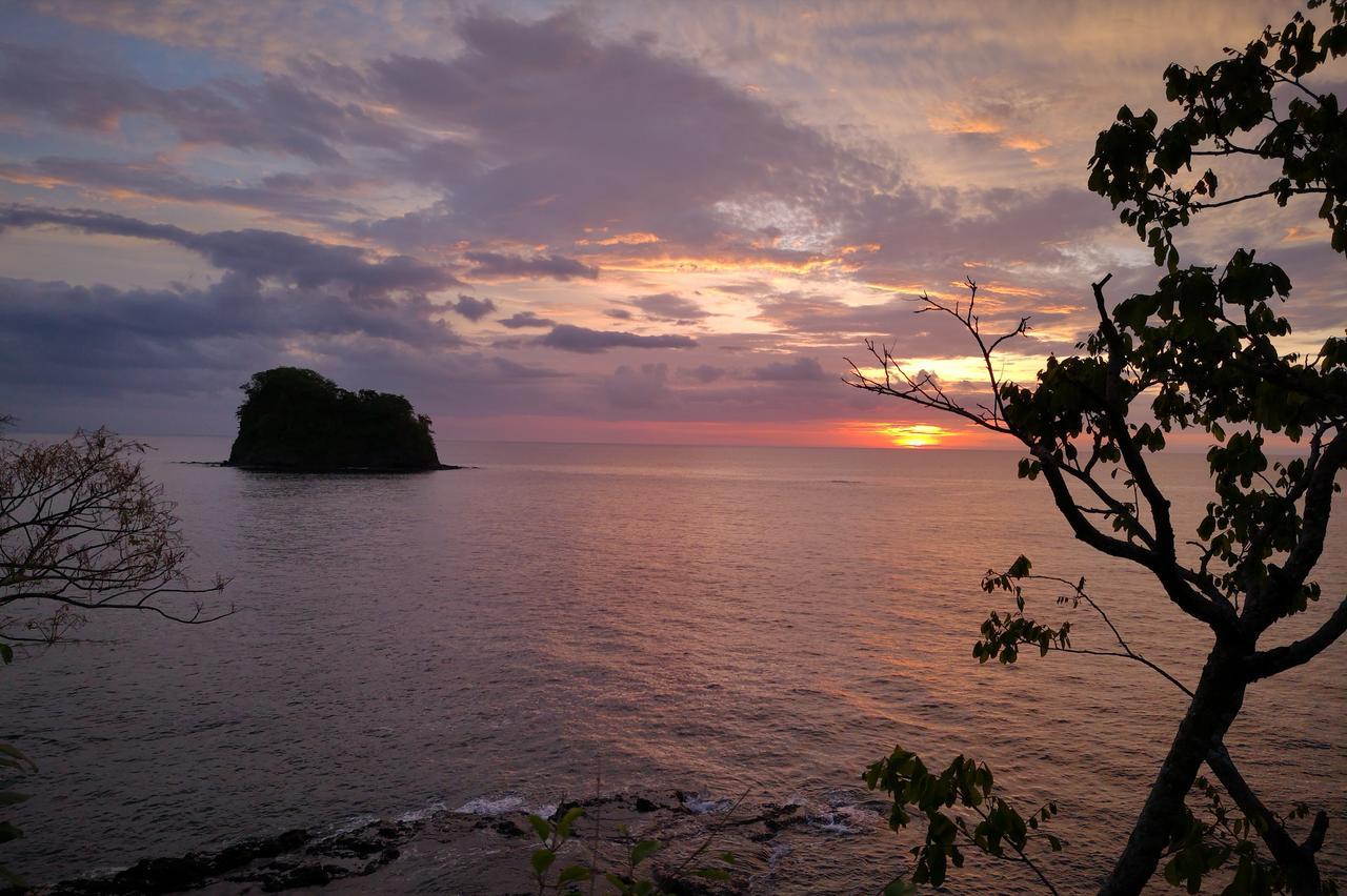 Casandreas * GUANACASTE