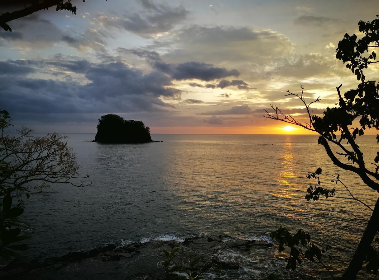 Casandreas GUANACASTE