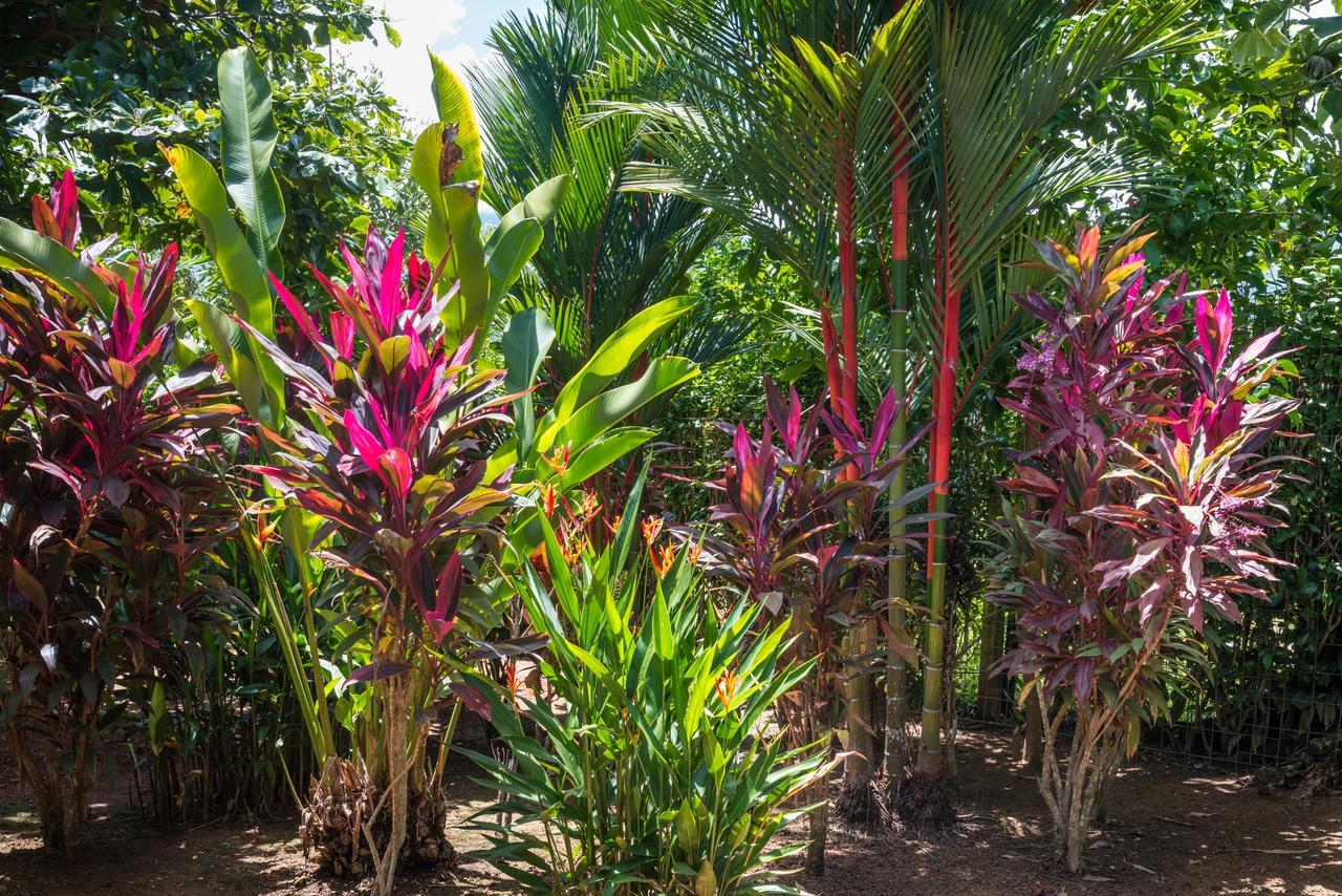 Holiday home Oasis Retreat With And Uvita