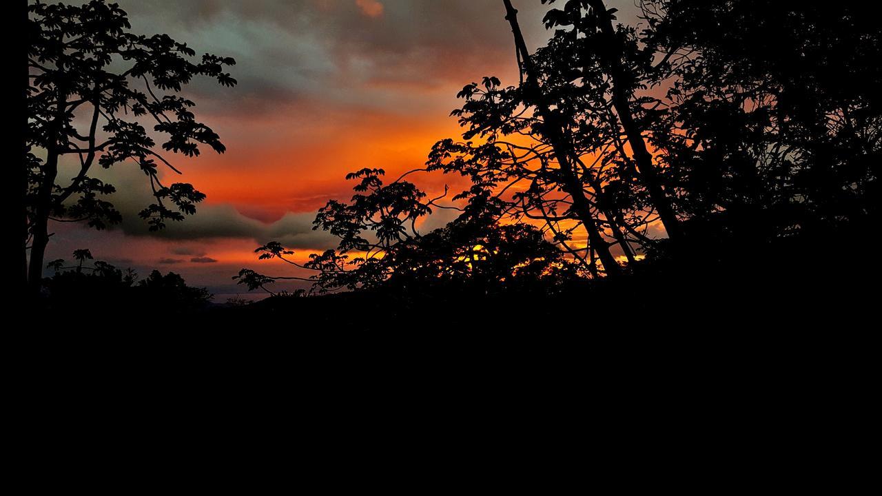 Above The Gulf, * Monteverde