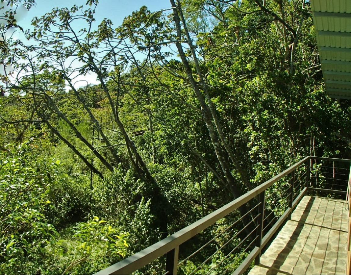 Above The Gulf, Monteverde