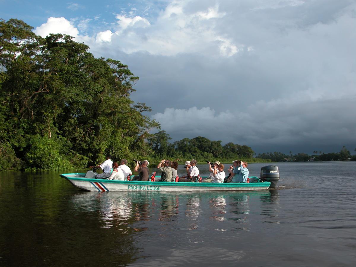 Pachira 4*