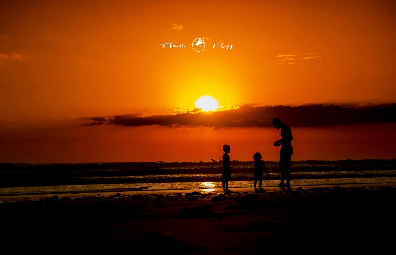 Funky Monkey Hotel Playa Santa Teresa (Puntarenas)
