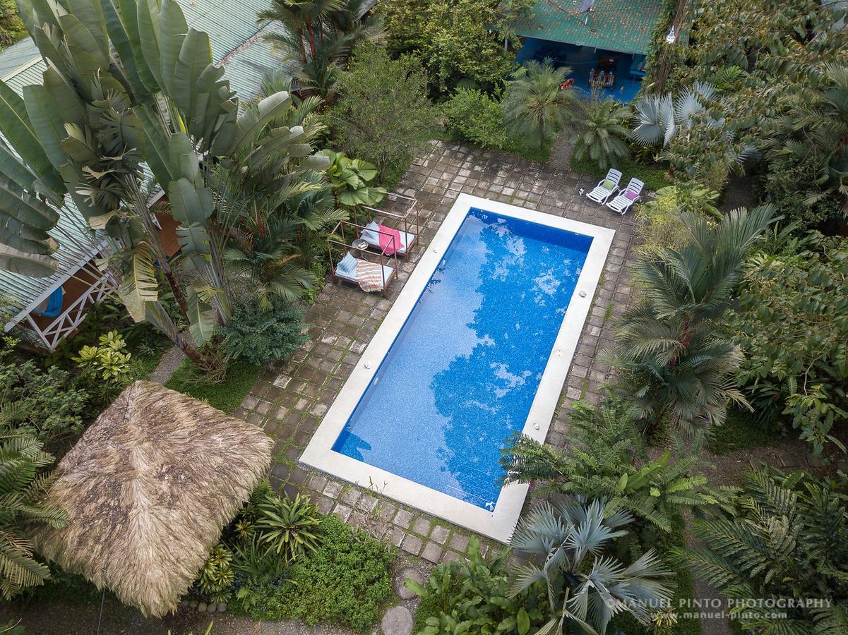 Hotel Vip Playa Negra